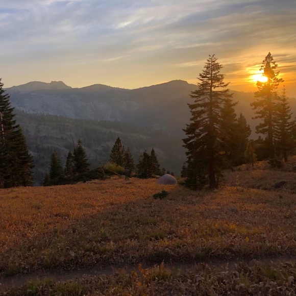 Meet your Posher, Elyse - Picture 1 of 1